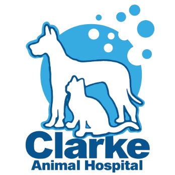 Clarke Animal Hospital